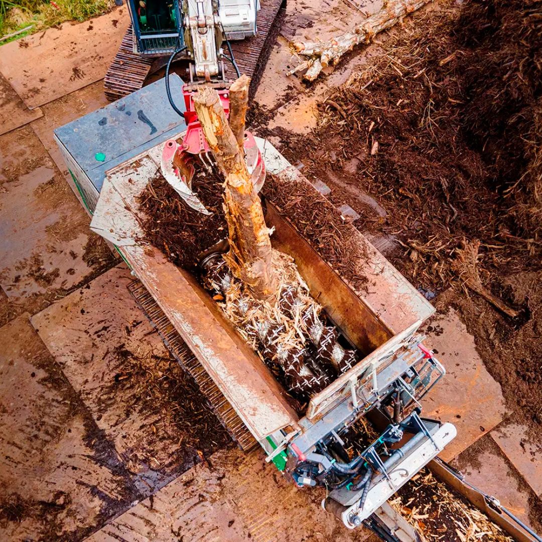 BIOMASS AND RECYCLING